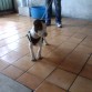 !HOLA EL ES DOUGLAS AQUI TIENE 3 MESES 